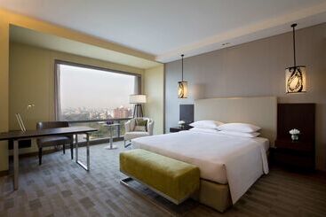 Hotel Hyatt Regency Ahmedabad