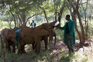 ホテル Lilayi Lodge