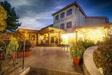 ペンション Hanu Visoianu