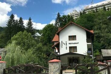 פנסיון Hanul Lui Traian