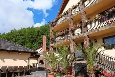 Pensiunea Adolescenta