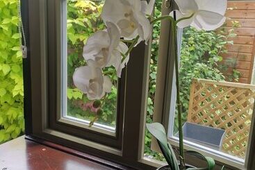 住宿加早餐  The Babbling Brook