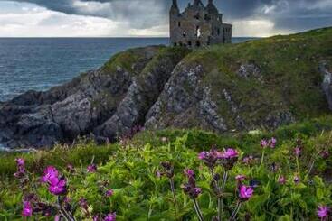 مبيت وإفطار Thornbank House