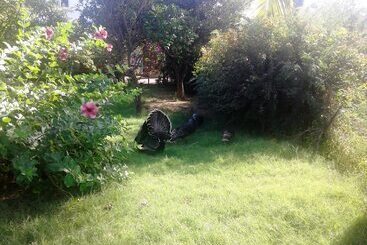 پانسیون Chez Ronald Guest House