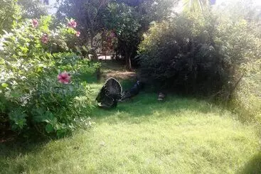 پانسیون Chez Ronald Guest House