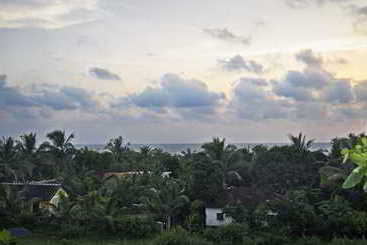 Hotel Oasis Beach Resort