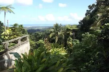 تختخواب و صبحانه Rainforest Inn
