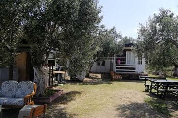 Bed and Breakfast Fesleğen Bungalow