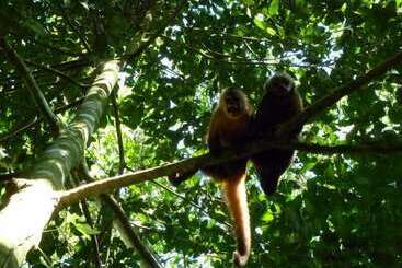 فندق Paradise Amazon Lodge & Adventure