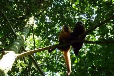 هتل Paradise Amazon Lodge & Adventure