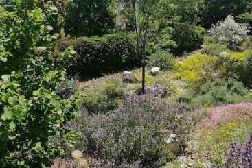 Пансион Le Mas De Molines