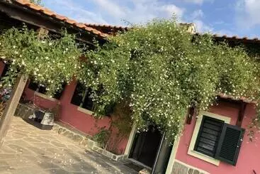 レジデンス Summer House Surrounded By Olive Trees Halkidiki