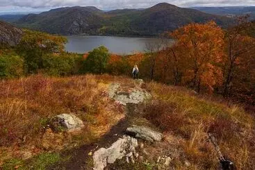 Aamiaismajoitus (B&B) Cromwell Manor Inn