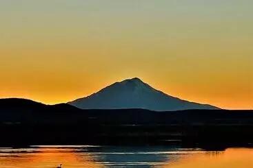 Hotelli Millz Manor At Fall River Millz