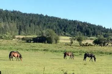 Hotelli Woodstone Manor Inc