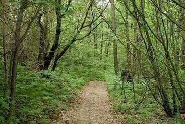 فندق šuma Disanje