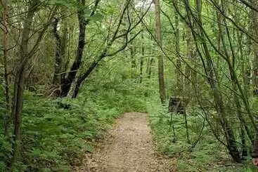 ホテル šuma Disanje