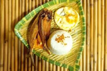 Zen Tierras Farm Powered By Cocotel