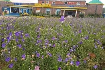 Gangjin Jeulgeounga Pension