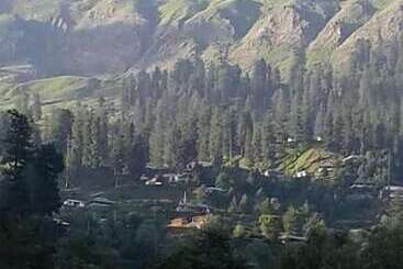 Pension (Hôtel basse catégorie) Springfield Guest House