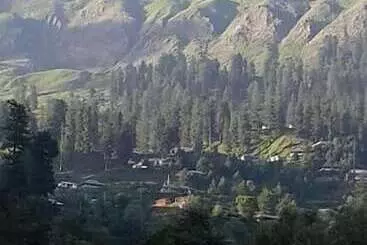 پانسیون Springfield Guest House