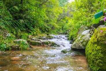 Pyeongchang Dolbaenamu Segeuru Pension