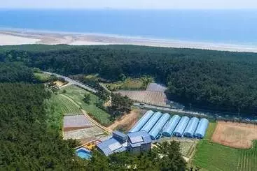 Taean Largo Pension