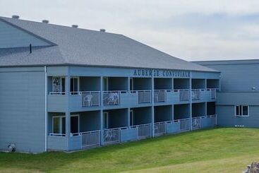 Отель Microbrasserie La Baleine Endiablée