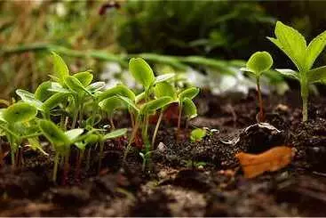 Majatalo Villa Hierschel