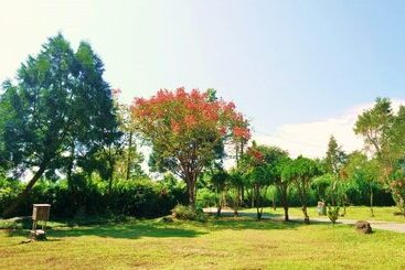 تختخواب و صبحانه Green Forest Homestay