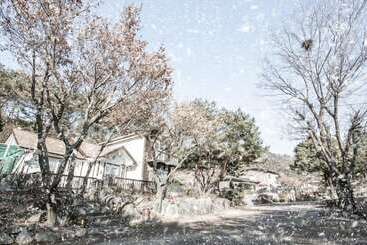 Pensione Morning Palace