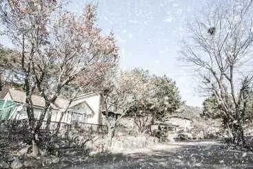 Pension  Morning Palace