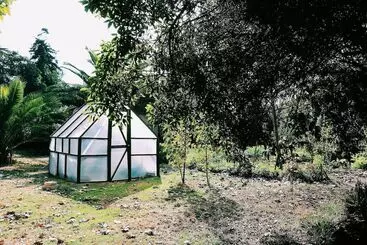 El Arbol Eco Lodge   Hostel