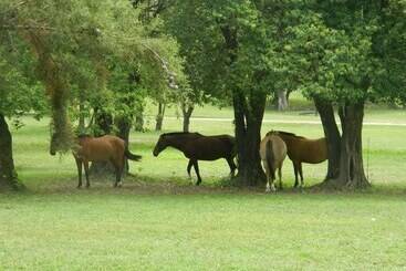 فندق فئة نجمة واحدة Paloma Suite & Guest House