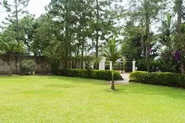 Hotel Palm World
