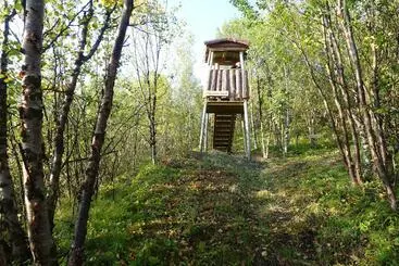 Wild Caribou S Wildwood Cabin