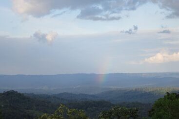 호텔 Heimatlos Rainforest Lodge