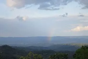 ホテル Heimatlos Rainforest Lodge