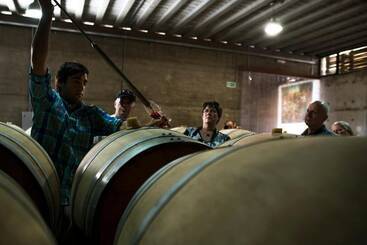 Pizzorno Lodge & Wine