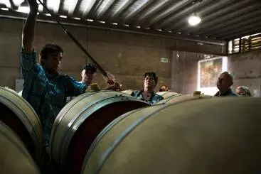 Pizzorno Lodge & Wine