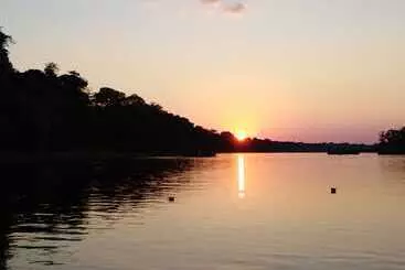 Macaw Jungle Expeditions