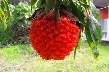 ホテル Finca Temática Cafetera Las Mercedes