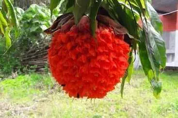 ホテル Finca Temática Cafetera Las Mercedes