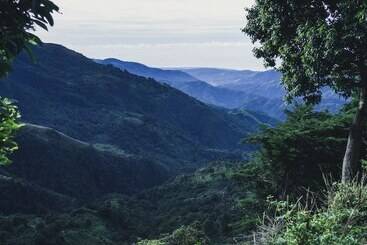 پانسیون Jay S Guest House