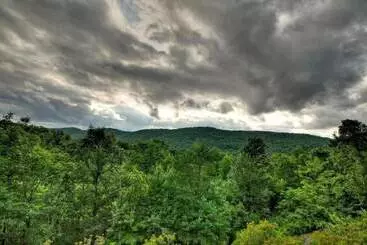 Mökkimajoitus Wild Things Nevaeh Cabin Rentals