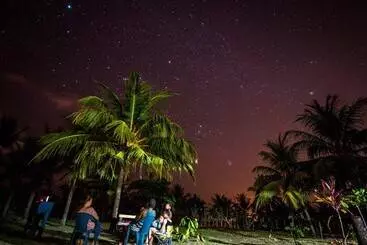Miguel Surf  Camp