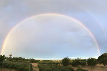 Chacra La Calandria B&b