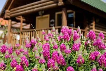 コテージ Dalia Barama