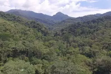 La Musa Verde