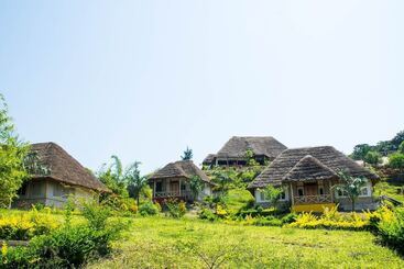 The Baboon Safari Resort